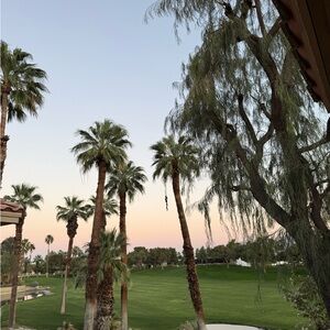 Meet your Posher, Nola